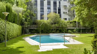 Dúplex en alquiler en Calle de Apolonio Morales - Imagen 34
