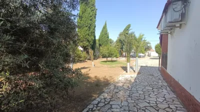 House on Encinas Street photo 11