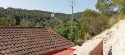 Rustic Chalet in Algezares photo 17