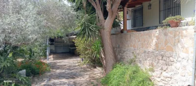 Rustic Chalet in Algezares photo 2