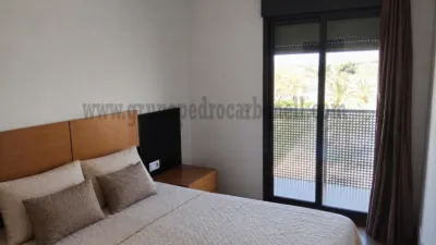 Piso – Elche, Corts Valencianes, el Baix Vinalopó - Vista 3