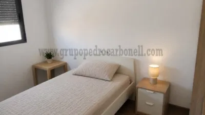 Piso – Elche, Corts Valencianes, el Baix Vinalopó - Vista 4