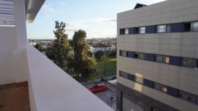 Ático en alquiler en Avenida del Barrerillo, Zona Avenida de Juan Diego (Bormujos) de 950 €<span>/mes</span>