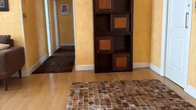 Apartment in Plaza del Museo photo 20