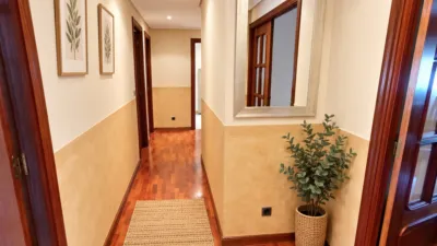 Apartment on Calle del Monseñor Estenaga photo 8