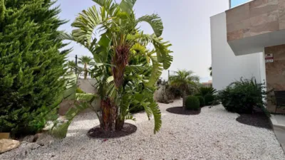 Ground Floor Apartment in Urbanització Alberca, 1 photo 62