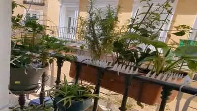 Estudio en alquiler en Calle de las Minas - Imagen 2