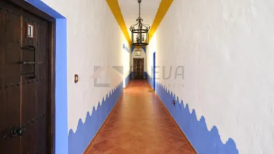 Apartment in Minaya photo 26