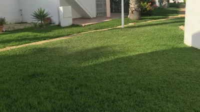 Duplex at Avenida del Mediterráneo, 1 photo 20