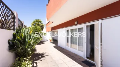 House on Luz Zodiacal Street photo 34