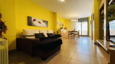 Apartment in Sant Andreu de La Barca photo 3