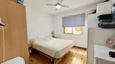 Apartment on Avinguda de Soler Carlos photo 16