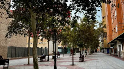 Apartment in La Flota photo 15