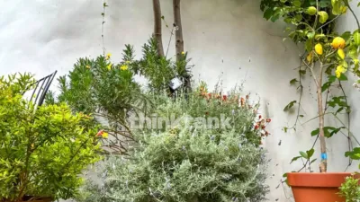 Apartment on Calle del Cardenal Cisneros photo 2