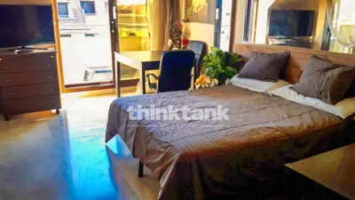 Duplex Penthouse on Paseo de Zorrilla photo 17