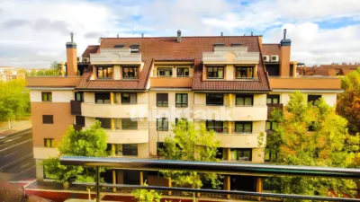 Duplex Penthouse on Paseo de Zorrilla photo 3