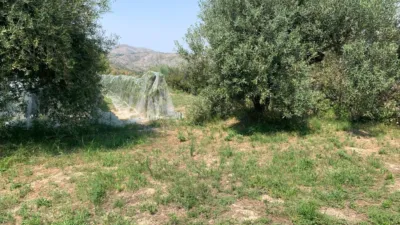 Chalet in Pego photo 9