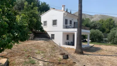 Chalet in Pego photo 3