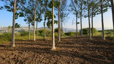 Rustic Finca in Montepego photo 2