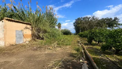 Rustic Finca in Montepego photo 4