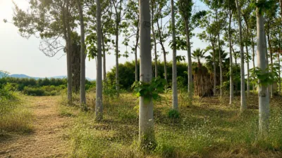 Rustic Finca in Montepego photo 3