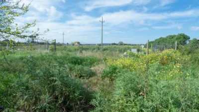 Casa rústica en venta en Manacor, Manacor de 260.000 €