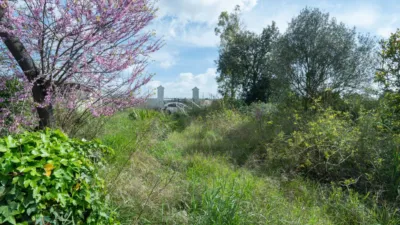 Casa rústica en venta en Manacor, Manacor de 260.000 €