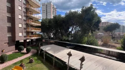 Piso en alquiler en Carrer del Palmeral, cerca de Carrer del Mas dels Andreus, Heliópolis-Curva (Benicàssim - Benicasim) de 650 €<span>/mes</span>
