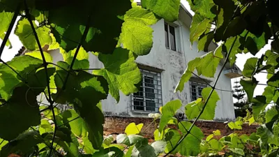 House in Piñeiros-Freixeiro-O Ponto photo 18