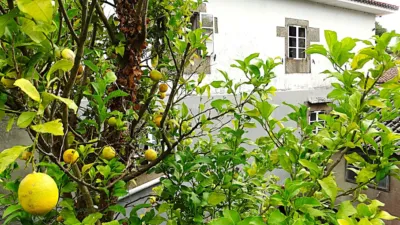 House in Piñeiros-Freixeiro-O Ponto photo 15