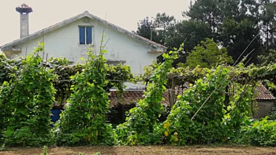 House in Piñeiros-Freixeiro-O Ponto photo 17