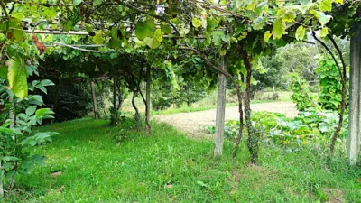 House in Piñeiros-Freixeiro-O Ponto photo 35