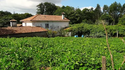 House in Piñeiros-Freixeiro-O Ponto photo 22