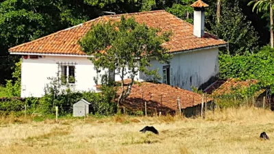 House in Piñeiros-Freixeiro-O Ponto photo 2