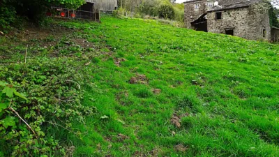 Rustic house in Muras (San Pedro) photo 22