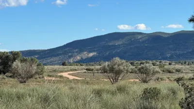 Rustic Finca in Aledo photo 11