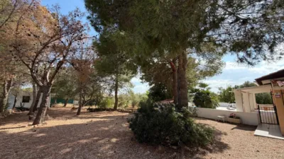 Rustic Finca in Aledo photo 26