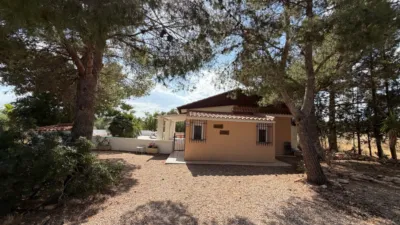 Rustic Finca in Aledo photo 25