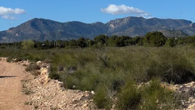 Rustic Finca in Aledo photo 12