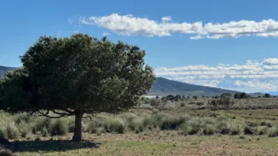 Rustic Finca in Aledo photo 10