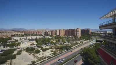 Apartment on Avenida de la Albufereta photo 31