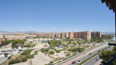 Apartment on Avenida de la Albufereta photo 5