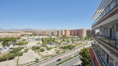 Apartment on Avenida de la Albufereta photo 13