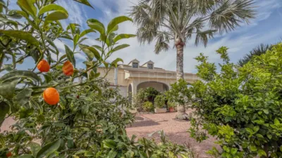 Casa – Elche, Urbanització Les Atzavares - Más