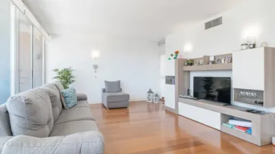 Apartment in Portals Nous-Bendinat photo 15