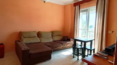 Apartment in Bornos photo 2