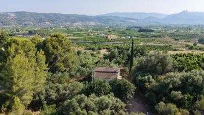 House in Sanet i Negrals photo 3