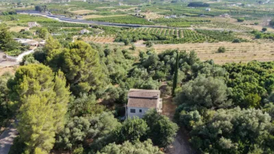 House in Sanet i Negrals photo 4
