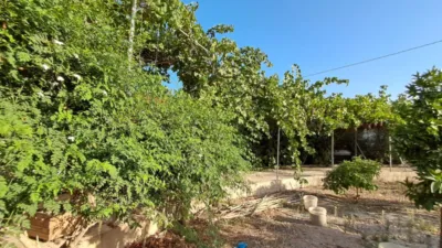 Rustic house in Berja photo 13