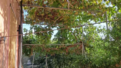 Rustic house in Berja photo 16